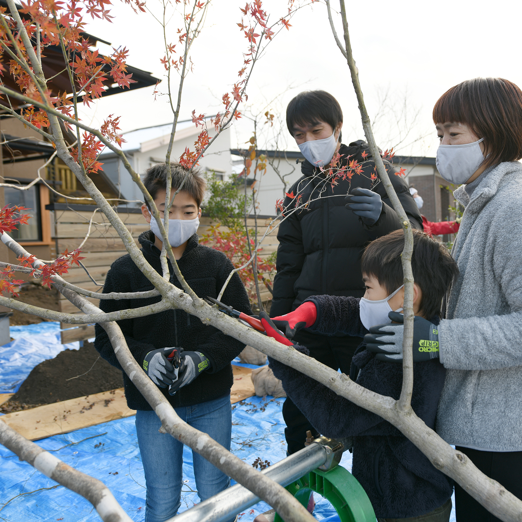 植栽ワークショップ　木の家