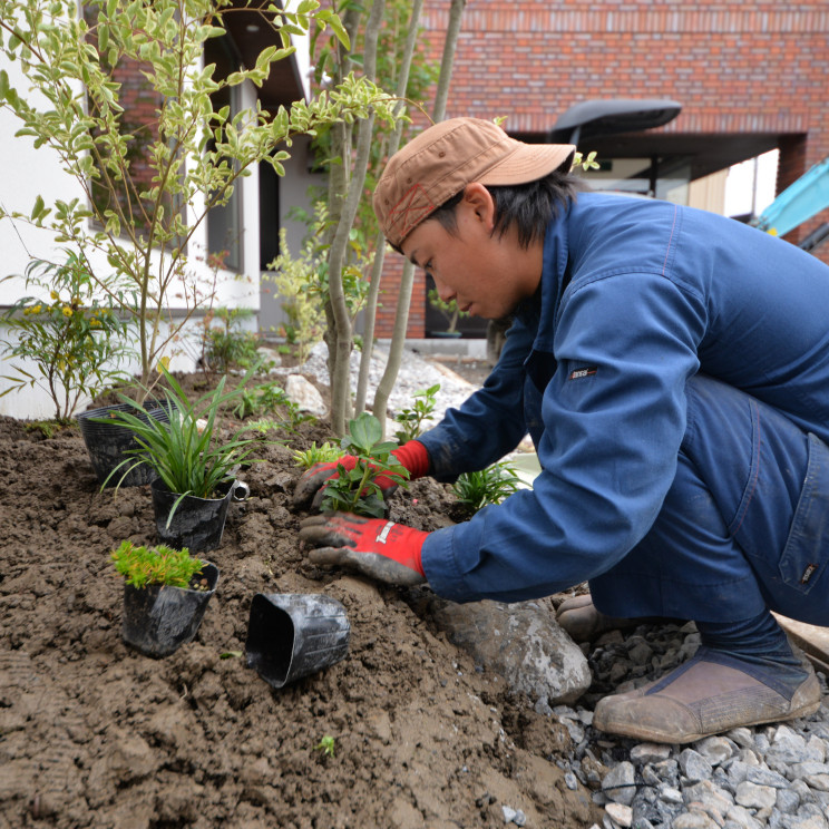 植栽工事002